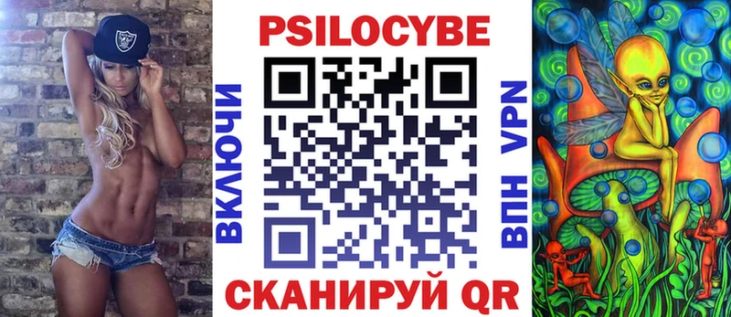 хочу наркоту  Кириши  Псилоцибиновые грибы Psilocybe 