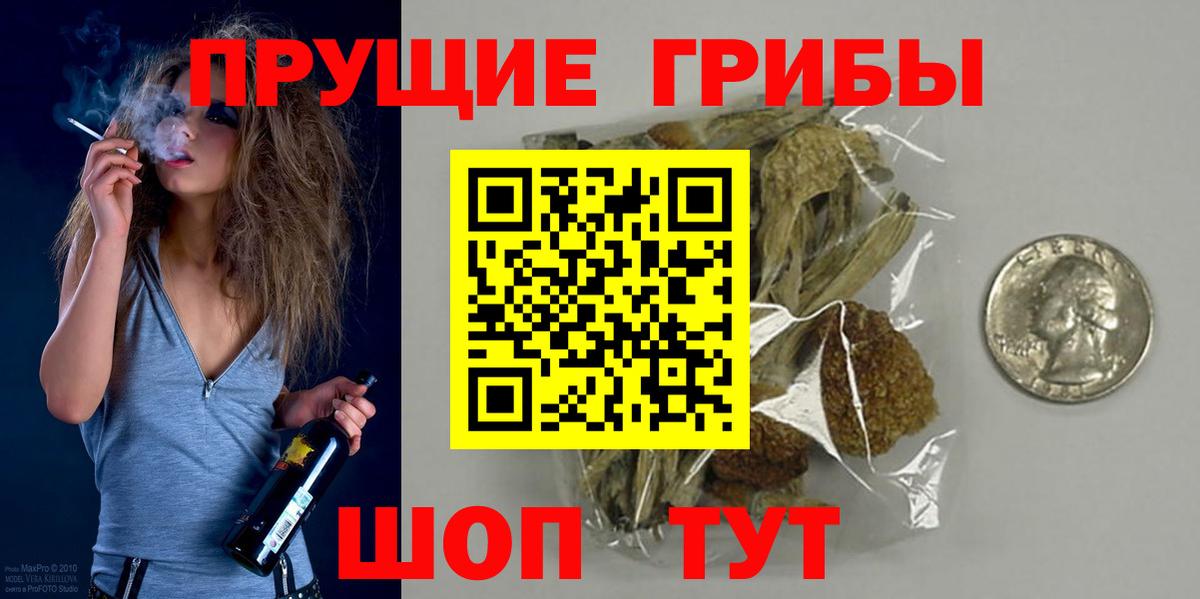 Кириши  Псилоцибиновые грибы мухоморы  где найти   Вход с VPN 